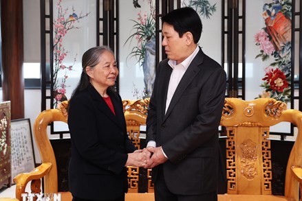 Chủ tịch nước Lương Cường dâng hương tưởng nhớ nguyên lãnh đạo Đảng, Nhà nước