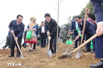 Chủ tịch nước: Tiếp tục đưa phong trào trồng cây đi vào chiều sâu, thực chất 