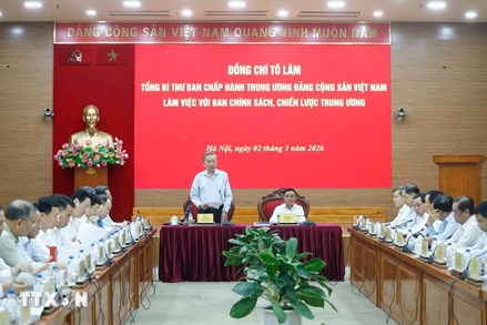 Tổng Bí thư Tô Lâm làm việc với Ban Chính sách, chiến lược Trung ương