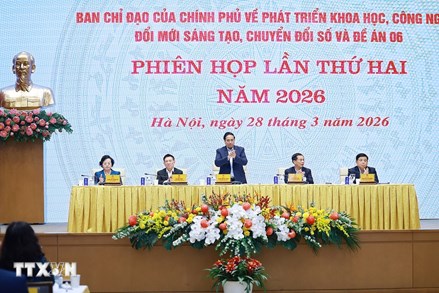 Thủ tướng chủ trì họp Ban Chỉ đạo về phát triển khoa học, công nghệ, chuyển đổi số