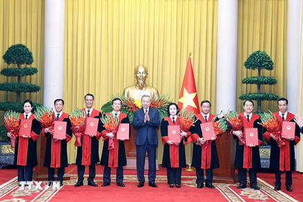 Tổng Bí thư, Chủ tịch nước Tô Lâm trao quyết định bổ nhiệm Thẩm phán TAND tối cao