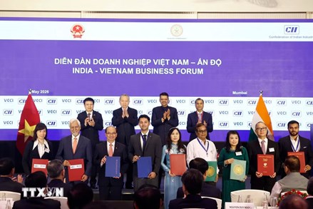 Tổng Bí thư, Chủ tịch nước Tô Lâm dự Diễn đàn doanh nghiệp Việt Nam-Ấn Độ 