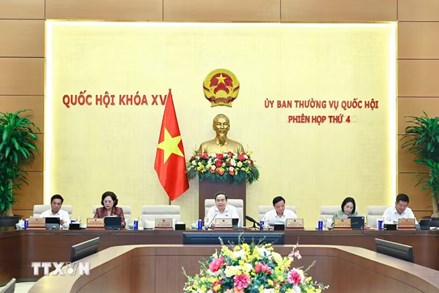 Đề xuất 7 nhóm chính sách định hướng sửa đổi Luật Đất đai 