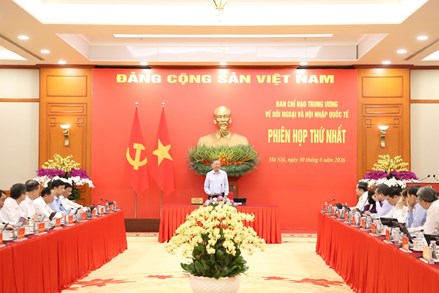 Quy định của Bộ Chính trị về chức năng, nhiệm vụ, quyền hạn của Ban Chỉ đạo Trung ương về đối ngoại và hội nhập quốc tế