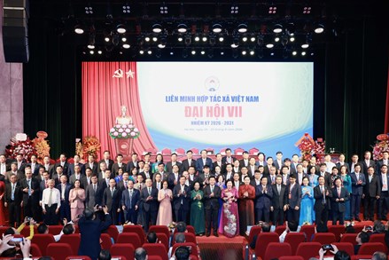 Phó Chủ tịch - Tổng Thư ký Hà Thị Nga dự Đại hội đại biểu toàn quốc Liên minh Hợp tác xã Việt Nam lần thứ VII, nhiệm kỳ 2026-2031