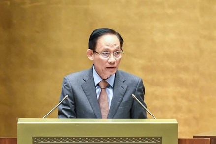 Nghị quyết số 23-NQ/TW: Bước phát triển rõ nét về nhận thức và tư duy của Đảng đối với công tác người Việt Nam ở nước ngoài 