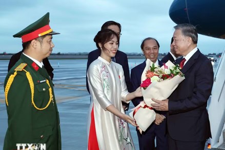Tổng Bí thư, Chủ tịch nước Tô Lâm đến New York tham dự Phiên thảo luận cấp cao Đại hội đồng Liên hợp quốc khóa 81 