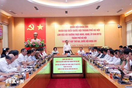 Tổng Bí thư, Chủ tịch nước Tô Lâm dự buổi làm việc chuẩn bị Kỳ họp thứ Hai, Quốc hội khóa XVI của Đoàn đại biểu Quốc hội Hà Nội 