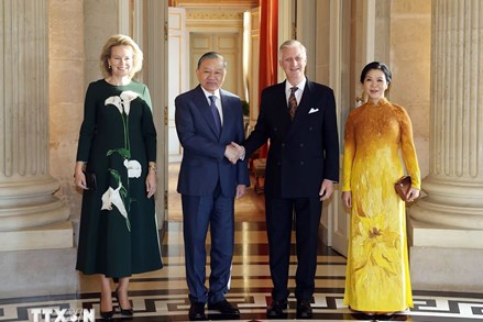 Tổng Bí thư, Chủ tịch nước Tô Lâm hội kiến Nhà vua Vương quốc Bỉ Philippe