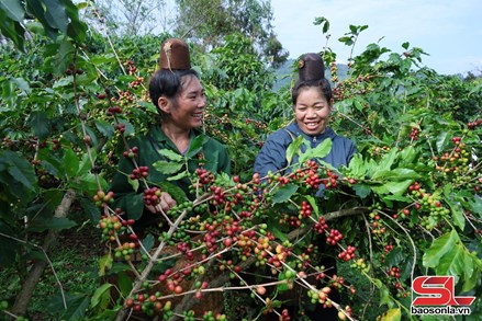 Sơn La: Mường Chanh hôm nay