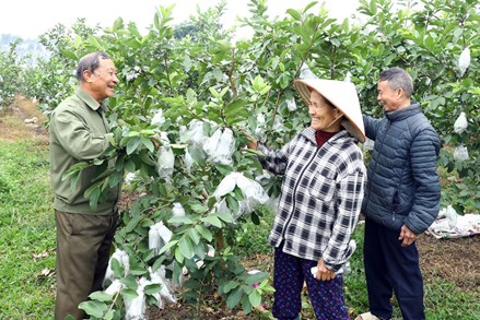 Bắc Ninh: Nối dài nhịp cầu đoàn kết