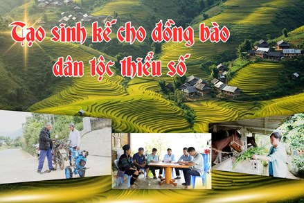 Lai Châu: Tạo sinh kế cho đồng bào dân tộc thiểu số