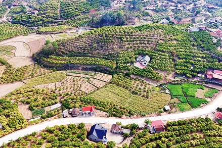 Bắc Ninh: Khơi nguồn lực phát triển vùng dân tộc thiểu số và miền núi