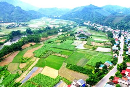 Thái Nguyên: Tạo sinh kế bền vững ở vùng khó khăn