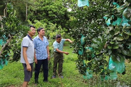 Điện Biên: Xã Thanh Nưa phấn đấu đạt chuẩn nông thôn mới