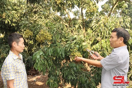 Sơn La: Người giữ lửa niềm tin ở bản làng vùng cao