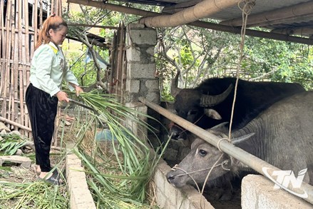 Thái Nguyên: Chương trình mục tiêu quốc gia: Tạo động lực để người dân thay đổi tư duy