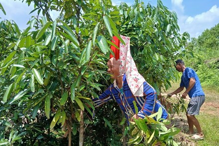 Đổi thay từ một vùng cao nghèo khó