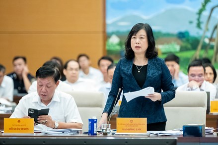 Thuốc giả, thực phẩm giả: Cần xử lý tất cả những người bao che, tiếp tay