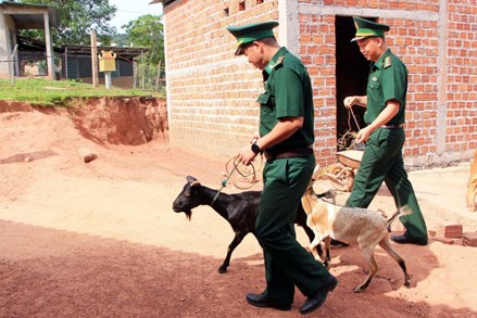 Quảng Trị: Nhiều mô hình sinh kế giúp đồng bào dân tộc thiểu số thoát nghèo