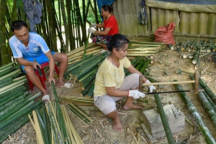 Lâm Đồng: Khởi sắc mạnh mẽ vùng đồng bào dân tộc thiểu số và miền núi
