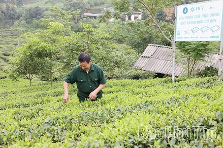 Phú Thọ: Lan tỏa phong trào thi đua yêu nước