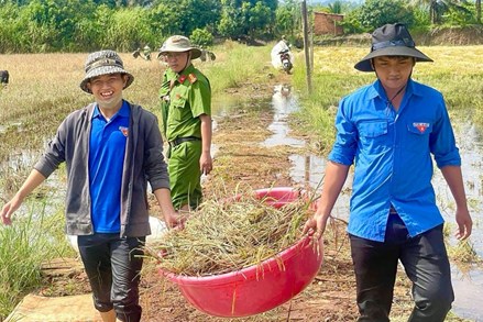 Đắk Lắk: Dấu ấn thanh niên tình nguyện trên những miền quê