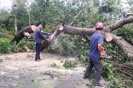 Quảng Ninh: Ủy ban MTTQ Việt Nam tỉnh kịp thời hỗ trợ các tỉnh miền Trung và người dân trong tỉnh khắc phục hậu quả bão số 10 