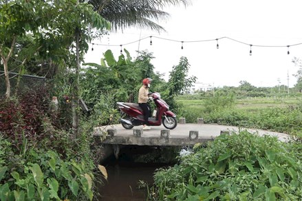 Đà Nẵng: Hội Cựu chiến binh phường Tam Kỳ xây dựng 12 cây cầu dân sinh