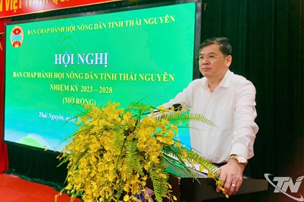 Thái Nguyên: Nòng cốt trong các phong trào thi đua và xây dựng nông thôn mới