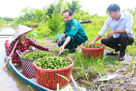Vĩnh Long: Đồng thuận chung sức đổi thay nông thôn