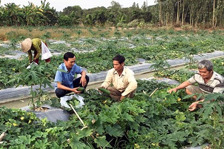 Cần Thơ: Chung sức vì mục tiêu giảm nghèo bền vững