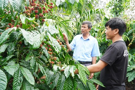 Lâm Đồng: Nâm Nung đổi thay từ sức dân và ý Ðảng