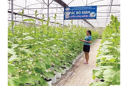 Cao Bằng: Nông thôn mới trên quê hương cách mạng