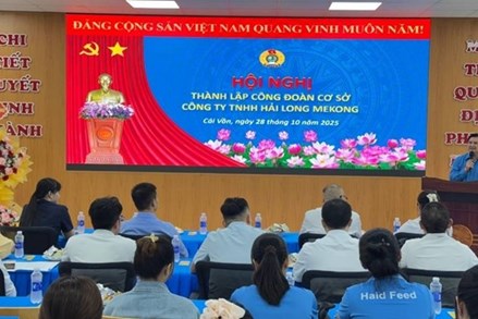 Vĩnh Long: Chủ động, vượt thách thức thúc đẩy thành lập Công đoàn cơ sở 