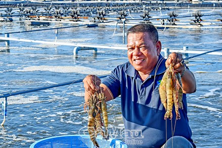 Cà Mau: Thi đua yêu nước - Động lực phát triển toàn diện