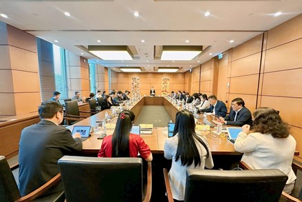 Hoàn thiện pháp luật về giám định tư pháp và phòng, chống tham nhũng đáp ứng yêu cầu thực tiễn