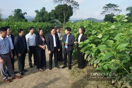 Đoàn công tác Trung ương Hội Nông dân Việt Nam thăm, làm việc tại xã Trấn Yên, tỉnh Lào Cai