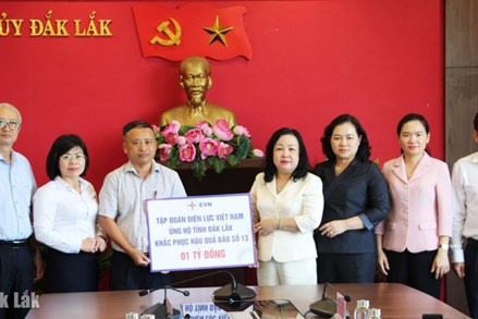 Đắk Lắk: Tập đoàn Điện lực Việt Nam hỗ trợ tỉnh Đắk Lắk 1 tỷ đồng khắc phục hậu quả bão số 13