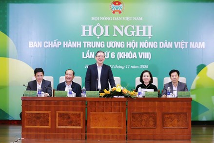 Hội nghị Ban Chấp hành Trung ương Hội Nông dân Việt Nam lần thứ 6, khóa VIII
