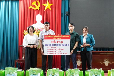 Gia Lai: Chủ tịch Ủy ban MTTQ Việt Nam tỉnh Nguyễn Ngọc Lương thăm hỏi, trao quà cho người dân vùng bão lũ