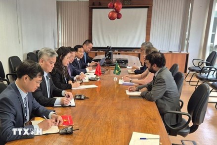 Nhật Bản và Brazil hỗ trợ Việt Nam khắc phục hậu quả bão lũ