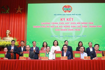 Hà Nội: Hội nghị tổng kết Chương trình phối hợp giữa Hội Nông dân thành phố với Hội Nông dân các tỉnh, thành phố