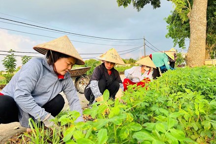 Dấu ấn tuyên truyền của Mặt trận ở cơ sở