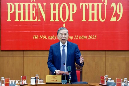 Phiên họp thứ 29 của Ban Chỉ đạo Trung ương về Phòng, chống tham nhũng, lãng phí, tiêu cực