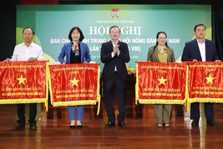 Hội nghị Ban Chấp hành Trung ương Hội Nông dân Việt Nam lần thứ 7, khóa VIII