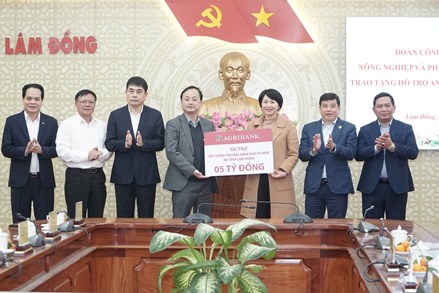 Lâm Đồng: Ủy ban MTTQ Việt Nam tỉnh tiếp nhận 5 tỷ đồng hỗ trợ an sinh xã hội 