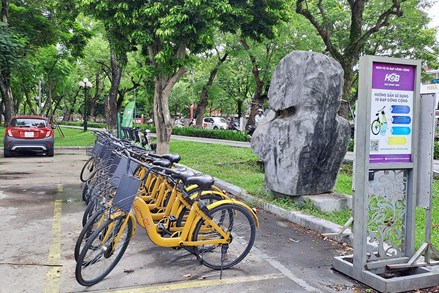 Đại hội XIV của Đảng: An Giang khuyến khích doanh nghiệp tư nhân tham gia kinh tế xanh