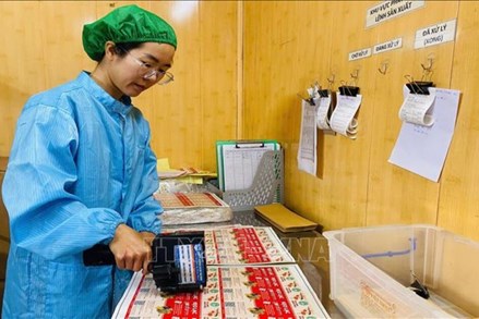 Đại hội XIV của Đảng: Hưng Yên kỳ vọng về nông nghiệp xanh, nông nghiệp tuần hoàn trong kỷ nguyên mới