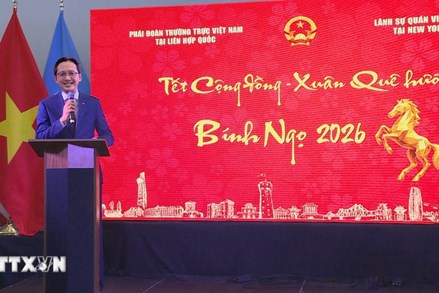 Xuân Bính Ngọ 2026: Ấm áp Tết Cộng đồng Bính Ngọ 2026 tại New York